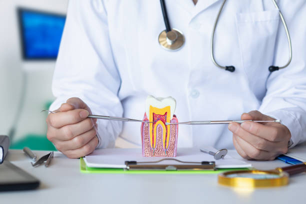 Best Pediatric Emergency Dentist in Bayside, WI